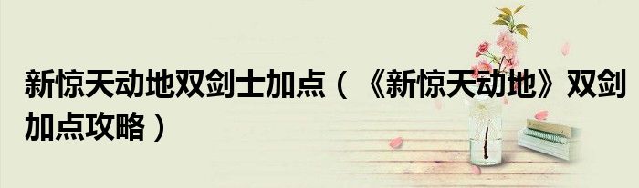 惊天动地双剑士攻略
