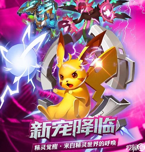 皮卡丘单宠攻略