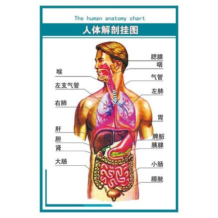 标准银锭的供应商在哪里查